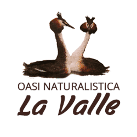 Immagine per il venditore L'Alzavola Soc. Coop. - gestore de l'Oasi Naturalistica la Valle