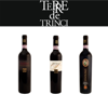 Immagine di Selezione SAGRANTINO Cantina Terre de Trinci