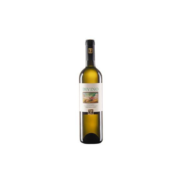 Immagine di DIVINO – UMBRIA IGT – TREBBIANO